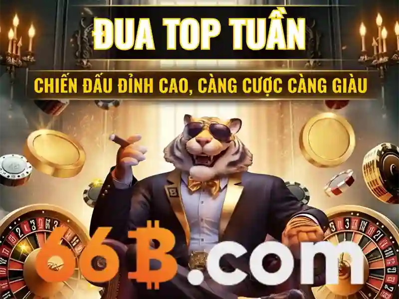 Điều Khoản Điều Kiện 66B