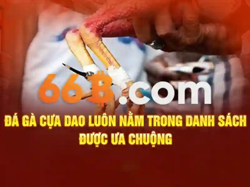 Đặc Điểm Nổi Bật