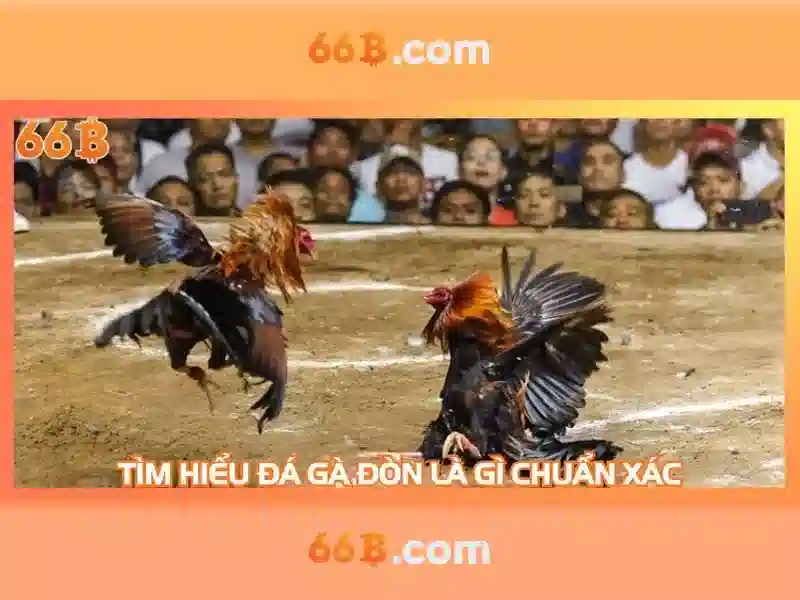 Trải nghiệm game xóc đĩa 66b