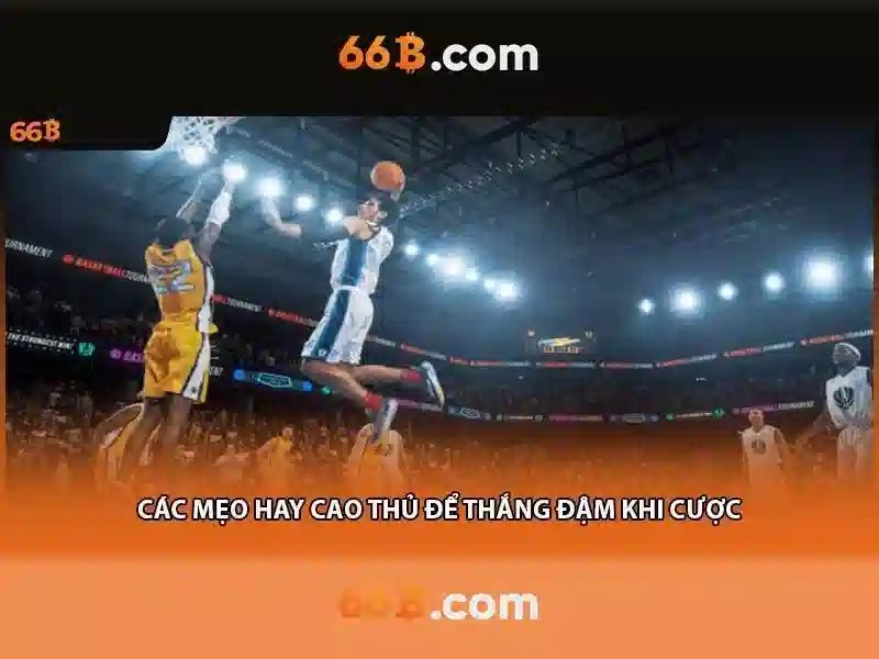 Ưu Đãi 66B Mới