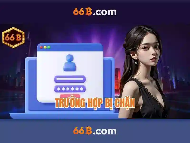 Tại Sao Nên Chọn 66B