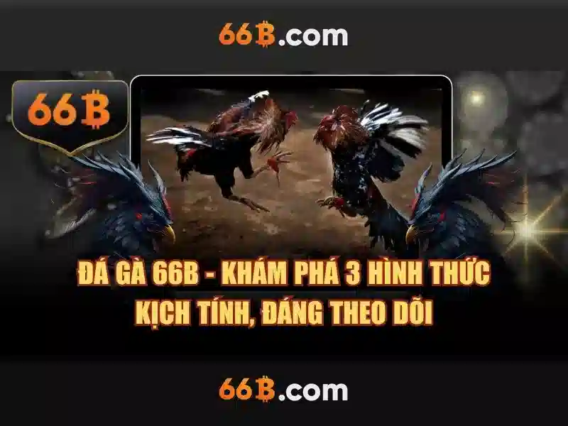 Giao diện 66B