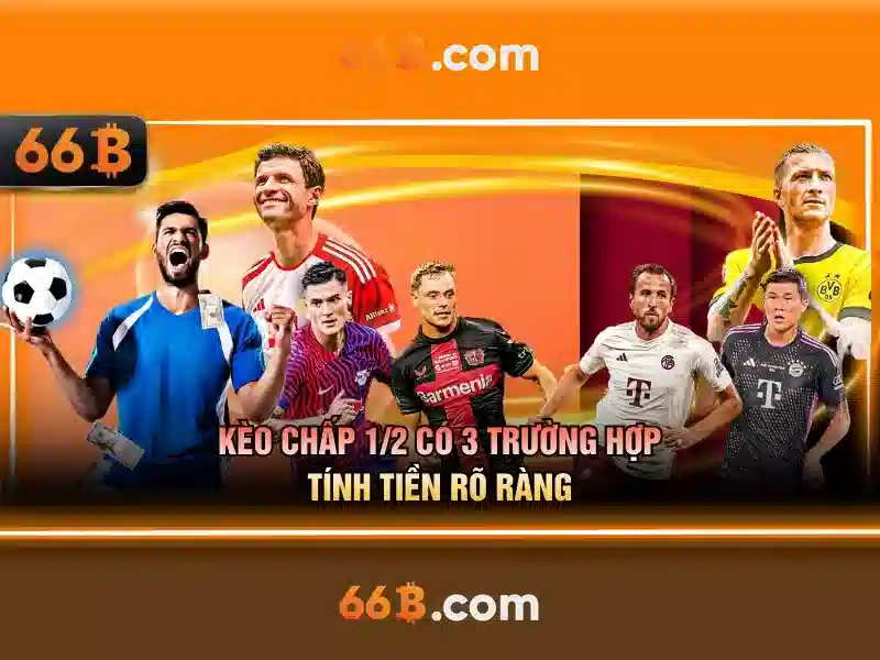 Tính năng app 66B