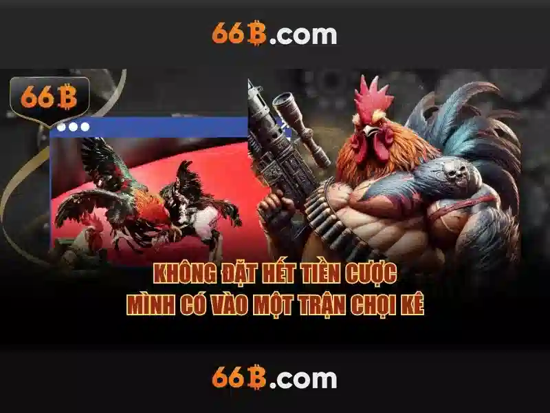 Liên hệ 66b