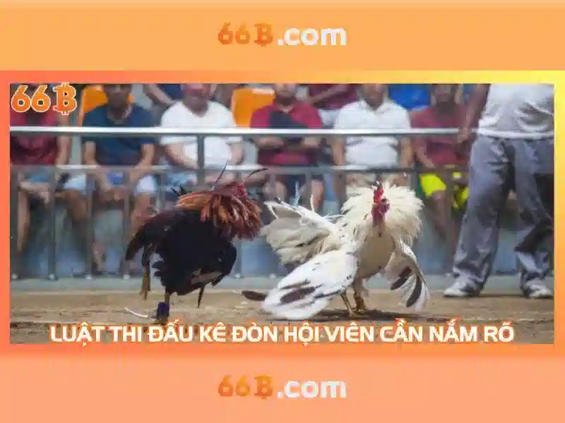 Khuyến Mãi 66B