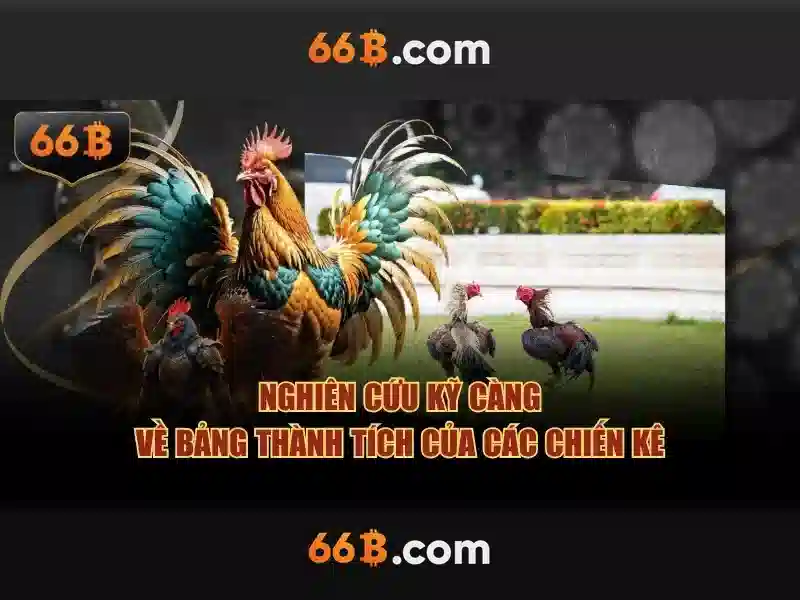 Khuyến Mãi 66B