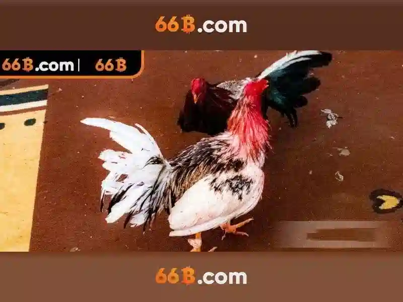 Tính Năng Nổi Bật