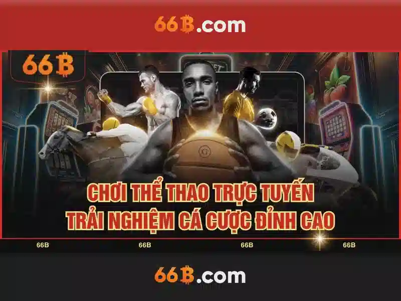 Giới Thiệu Về 66B