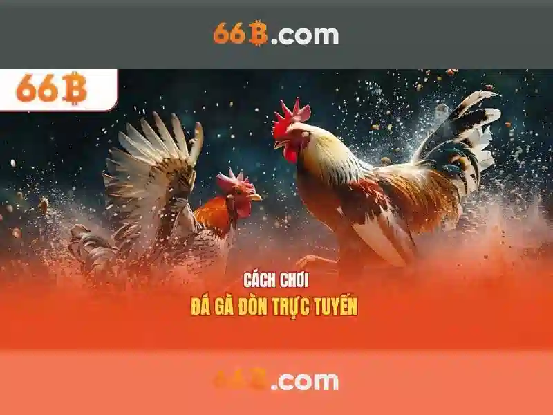 Tính Năng Nổi Bật Casino 66b