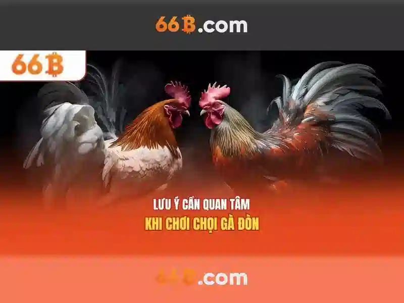 nhập code 66b