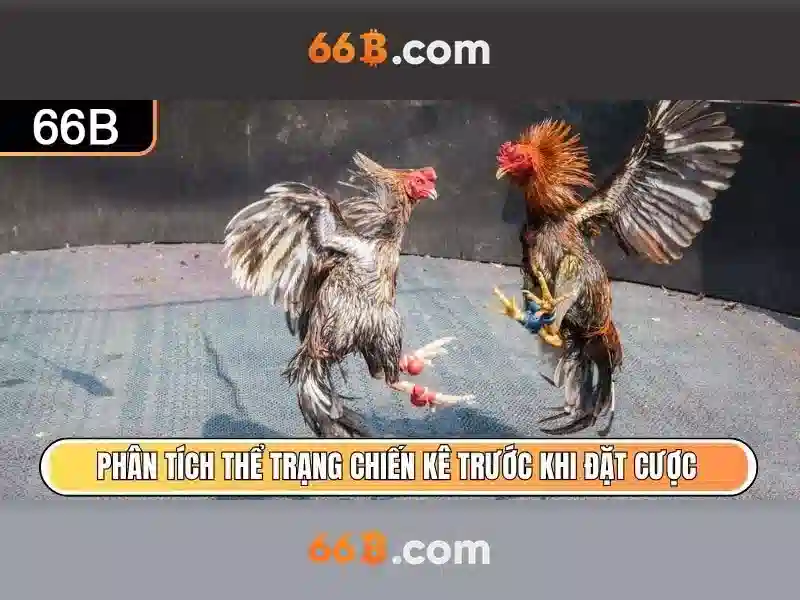 66B Ưu Đãi