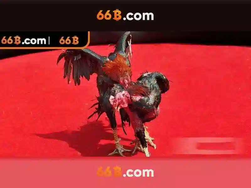 Trải Nghiệm Slot Đỉnh Cao Không Bị Chặn