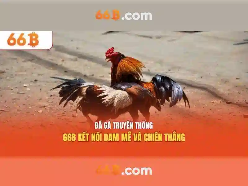 66B – Trang Chủ Cờ Caro 66B | Slot 66B – Ưu Đãi Cập Nhật 2026