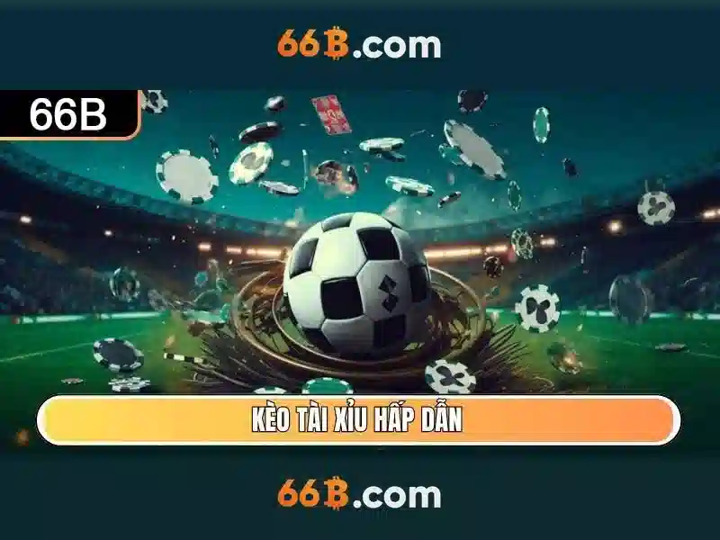 66B Trải Nghiệm