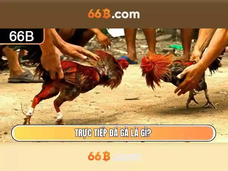 Tính năng nổi bật của 66B