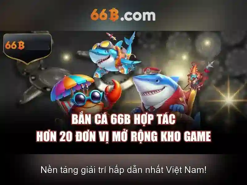Giới Thiệu Về 66B