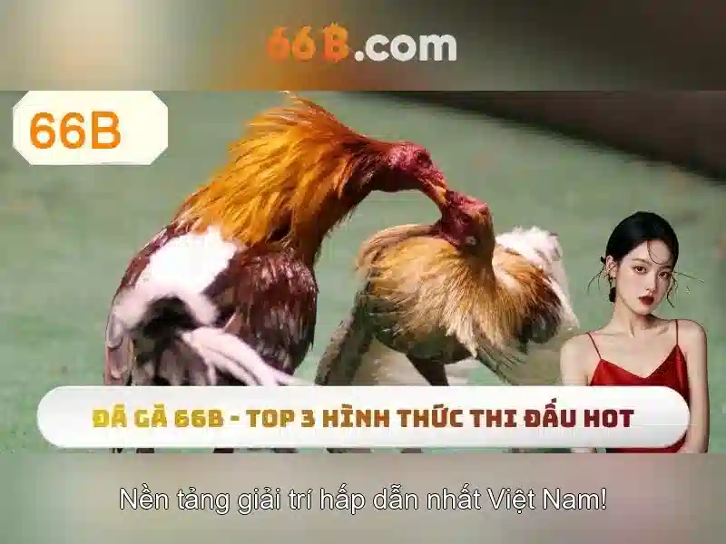 Lợi Ích Khi Sử Dụng Code 66b
