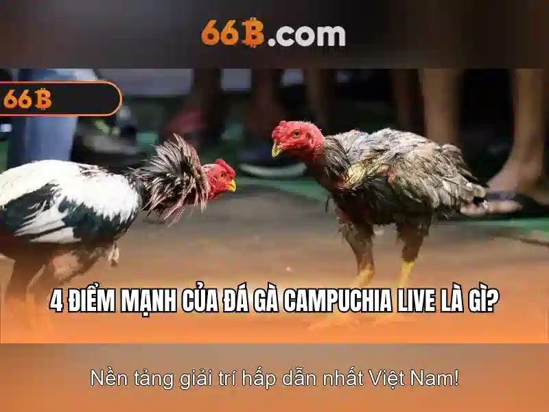 Nổ Hũ 66B