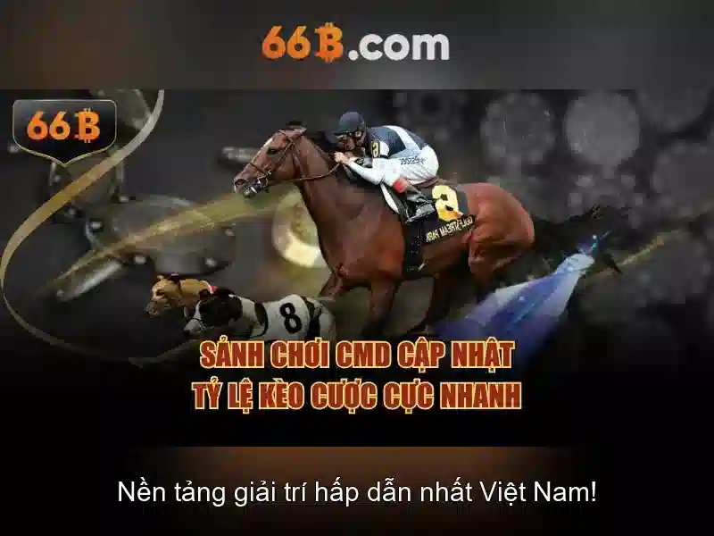 Hỗ trợ 66B