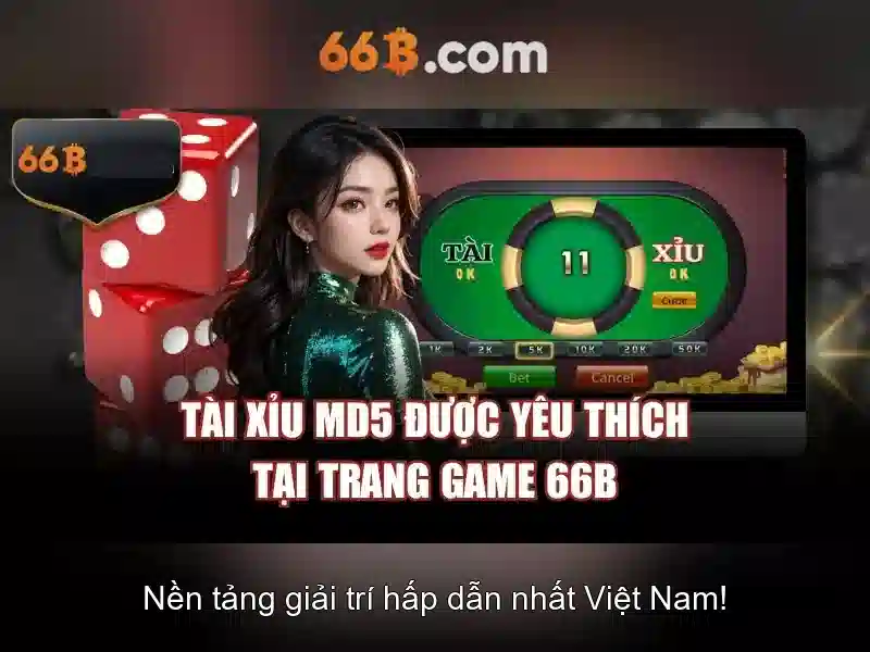 Quy Trình Kiểm Tra Dữ Liệu Tại 66B