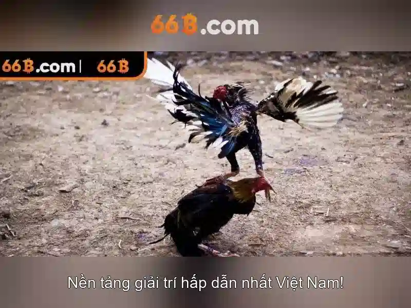 Trải nghiệm slot đỉnh cao tại 66B