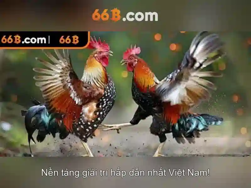 Bảo Mật 66B – Đảm Bảo An Toàn Cho Người Chơi Slot
