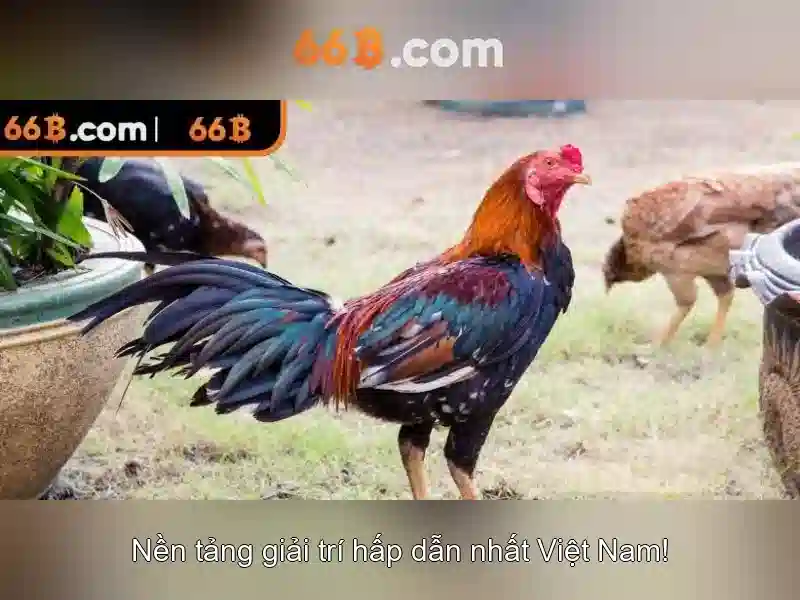 66B – Trải Nghiệm Chơi Slot Đỉnh Cao Với Tài Khoản 66B Chính Thức 2026