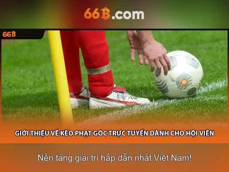 Giới Thiệu 66B Phiên Bản Mới