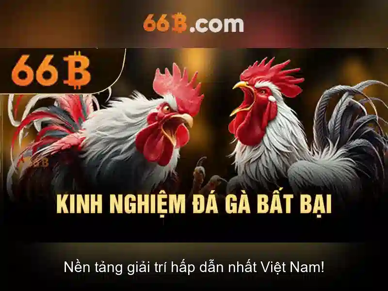 66B | Lỗi Khi Đăng Xuất 66B – Hướng Dẫn Giải Pháp 2026