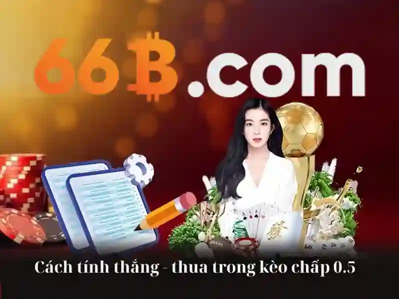 Quyền và Nghĩa Vụ Của Người Chơi Slot