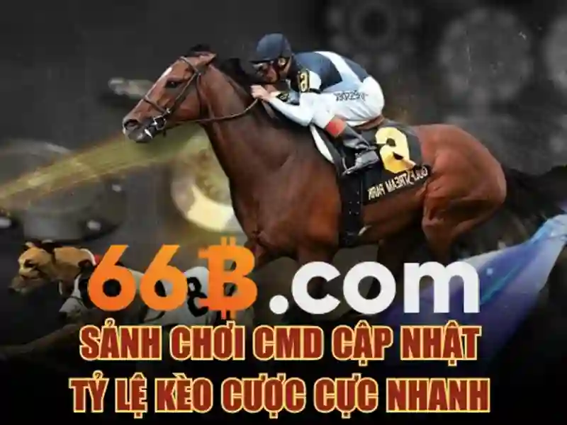 Đăng Ký 66B