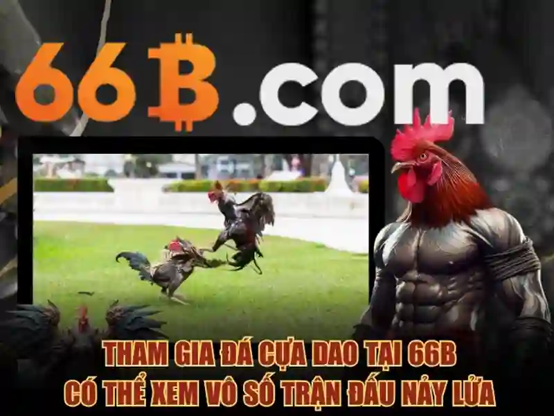 Khuyến Mãi Slot 66B